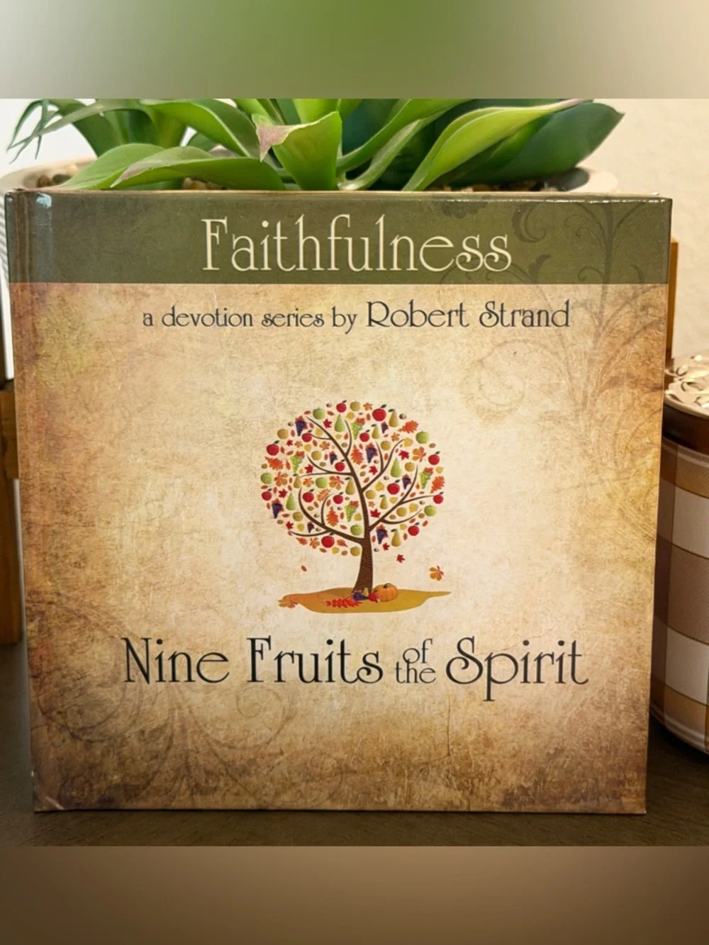 Set of 9 New Fruits Of The Spirit Books
